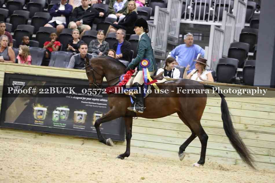 Proof 22BUCK_05572