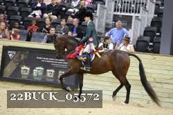 22BUCK_05572 proof