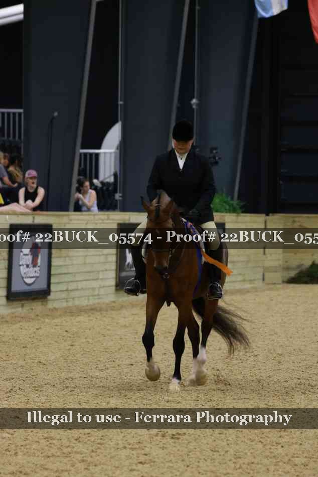 Proof 22BUCK_05574