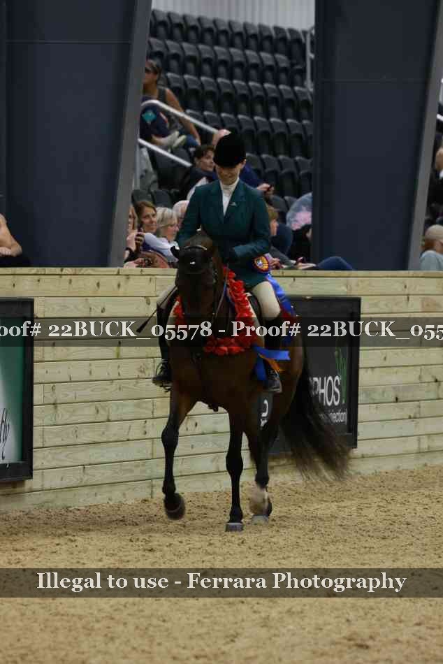 Proof 22BUCK_05578