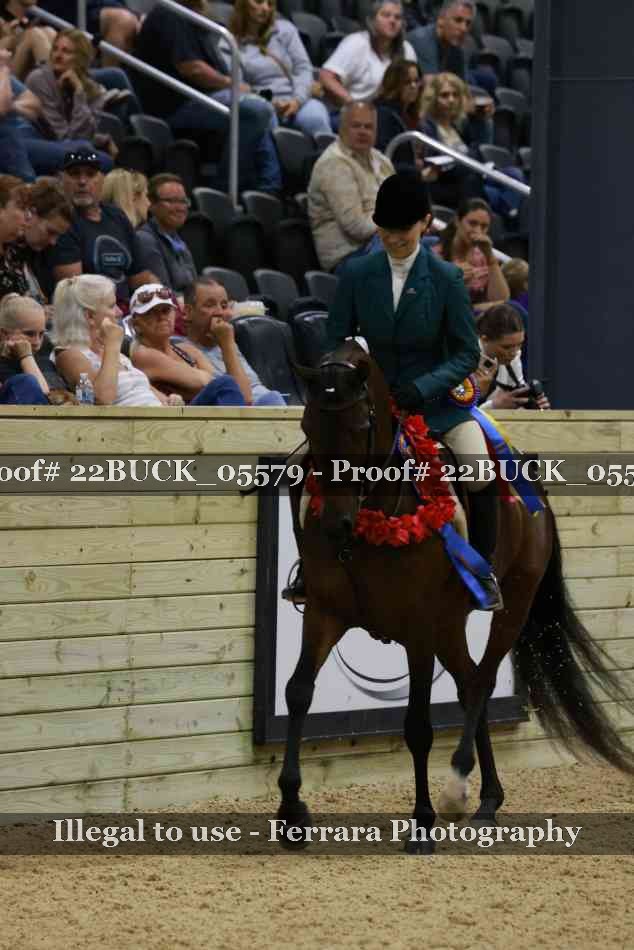 Proof 22BUCK_05579