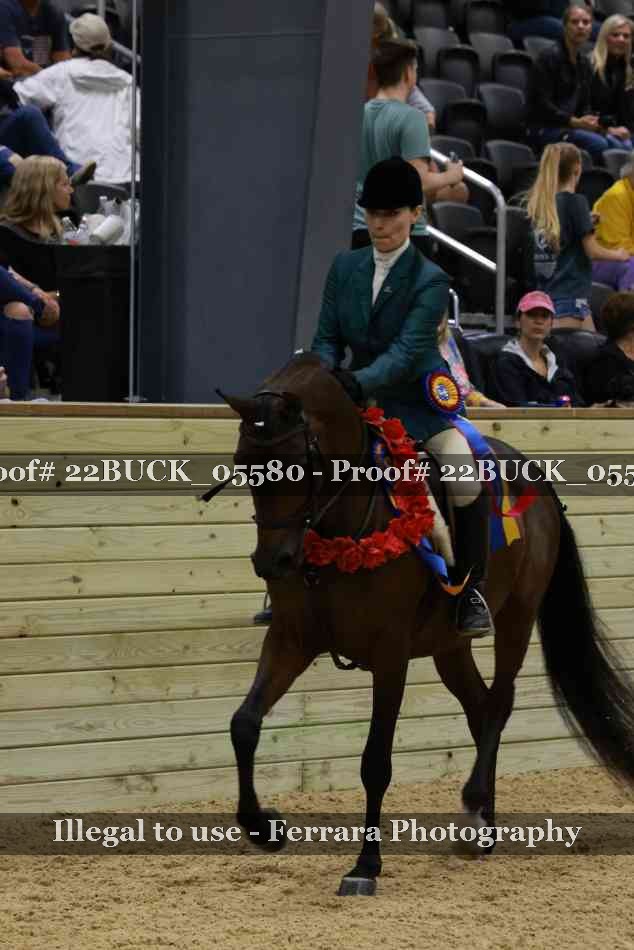 Proof 22BUCK_05580