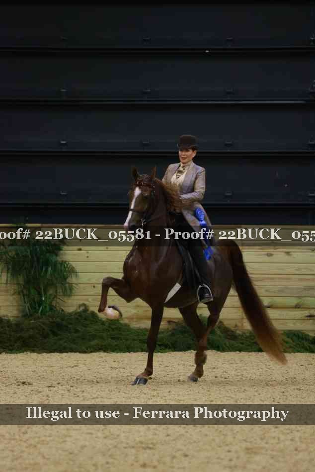 Proof 22BUCK_05581