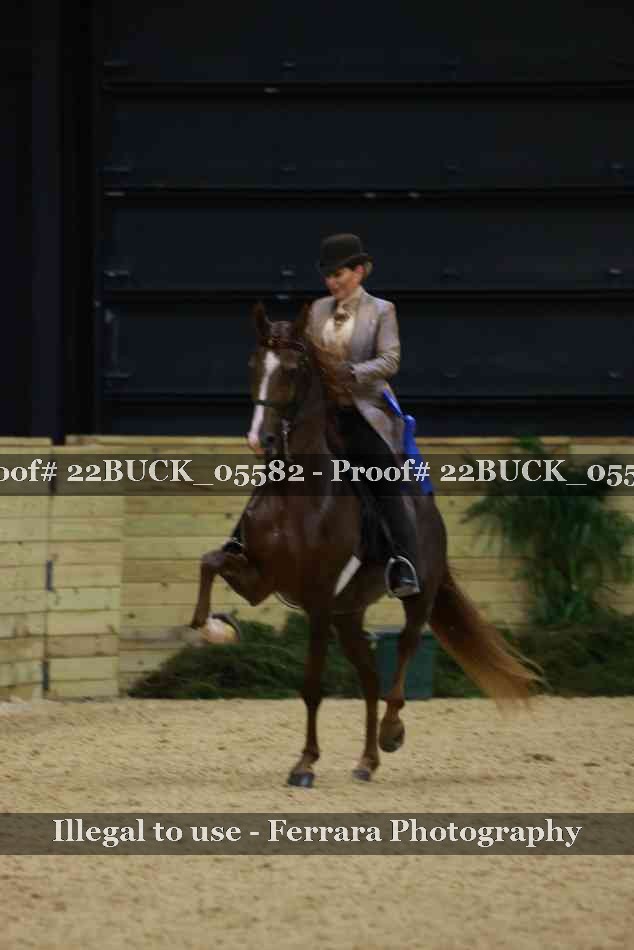 Proof 22BUCK_05582