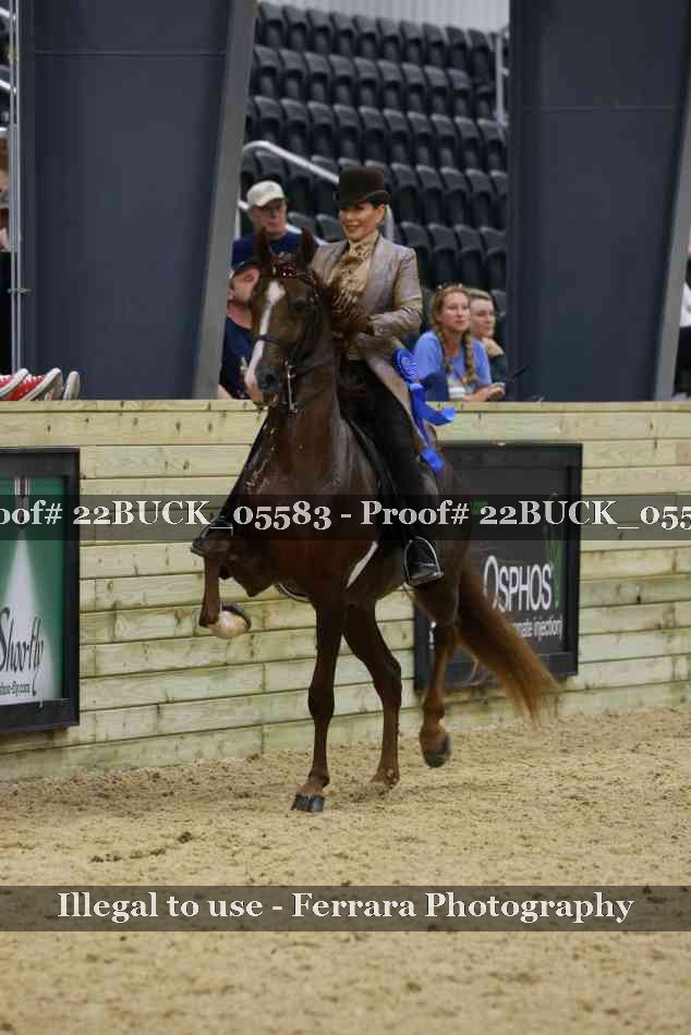Proof 22BUCK_05583