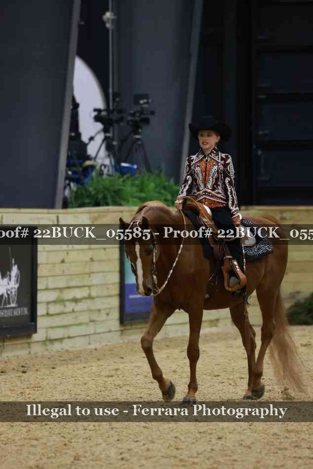 Proof 22BUCK_05585