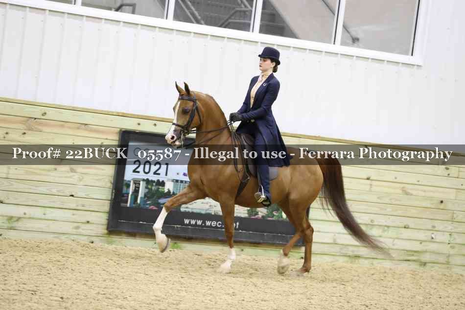Proof 22BUCK_05587