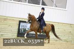22BUCK_05587 proof