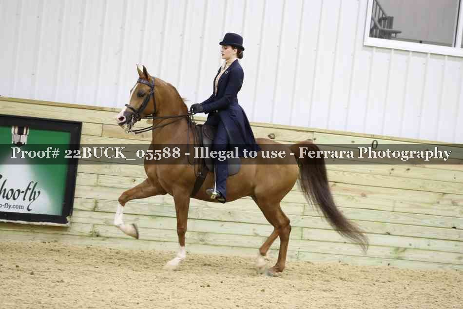 Proof 22BUCK_05588