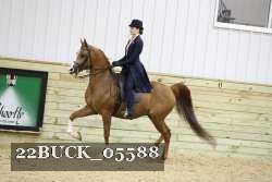 22BUCK_05588 proof