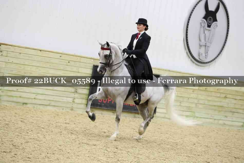 Proof 22BUCK_05589
