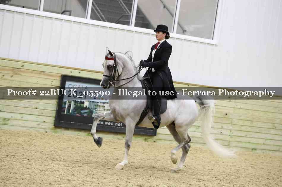 Proof 22BUCK_05590