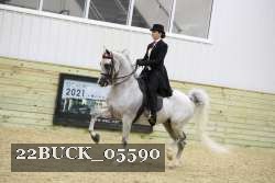 22BUCK_05590 proof