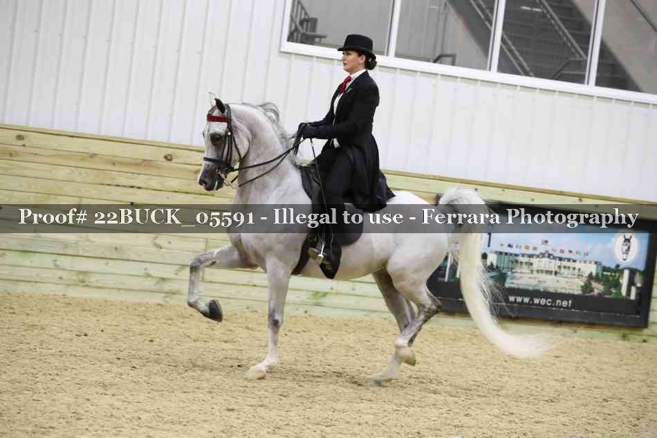 Proof 22BUCK_05591