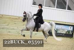 22BUCK_05591 proof