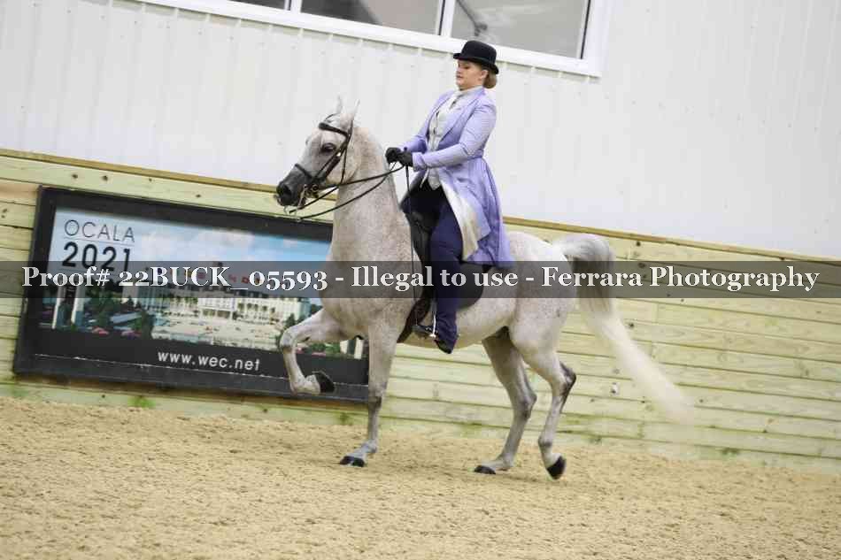 Proof 22BUCK_05593