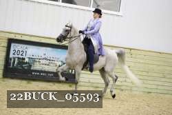 22BUCK_05593 proof
