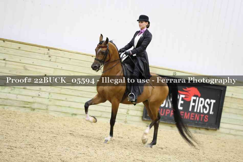 Proof 22BUCK_05594