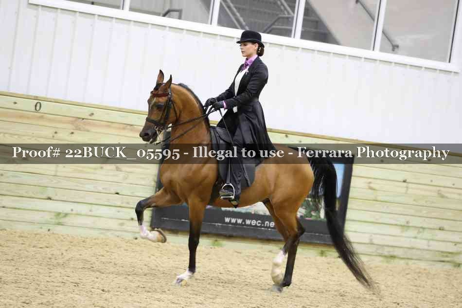 Proof 22BUCK_05595