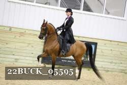 22BUCK_05595 proof