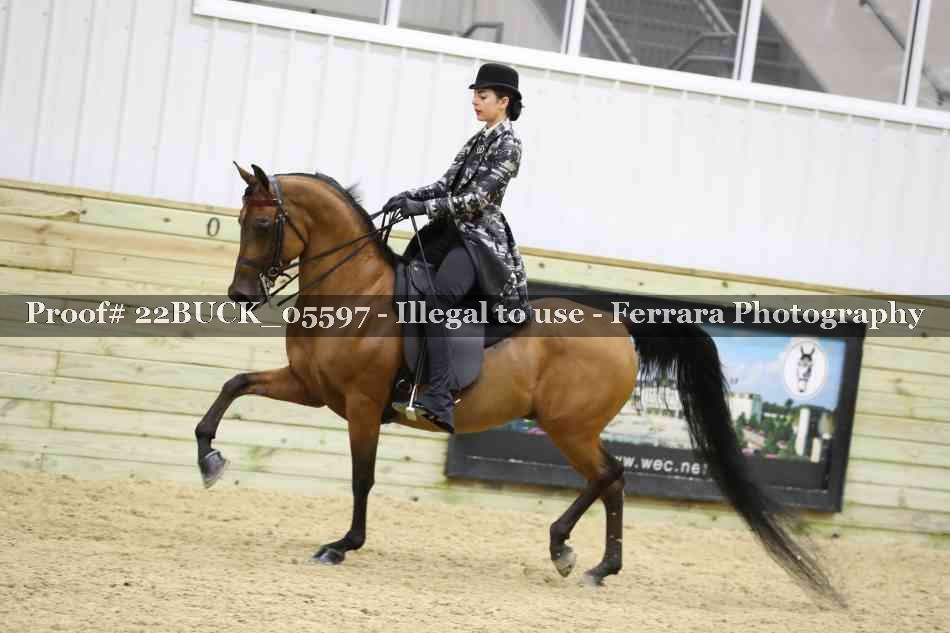 Proof 22BUCK_05597