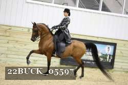 22BUCK_05597 proof
