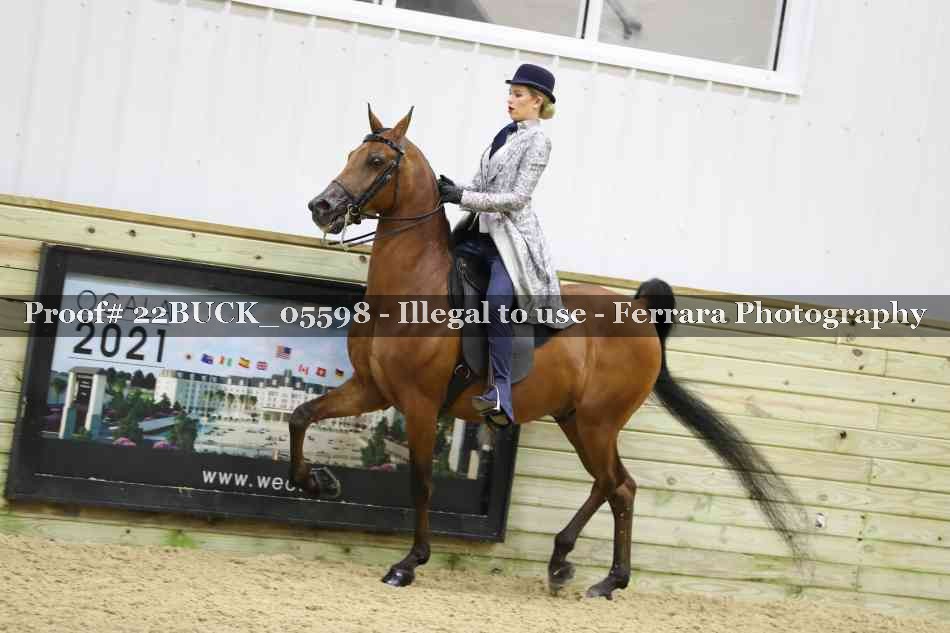 Proof 22BUCK_05598