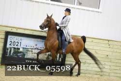 22BUCK_05598 proof