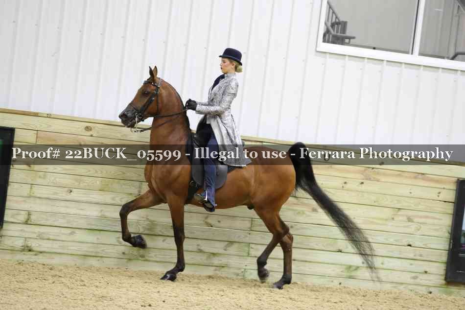 Proof 22BUCK_05599