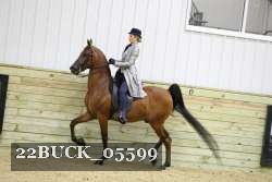 22BUCK_05599 proof
