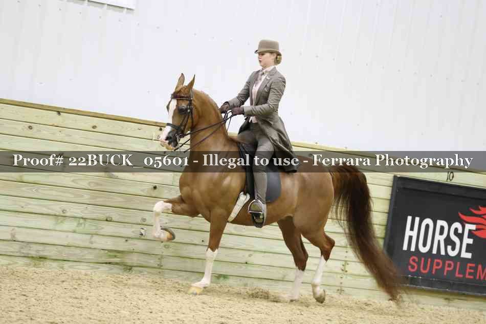 Proof 22BUCK_05601