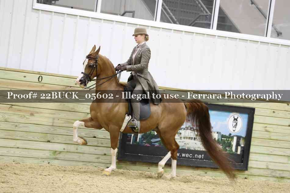 Proof 22BUCK_05602