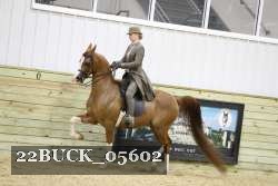 22BUCK_05602 proof
