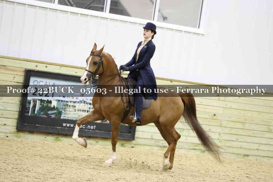 Proof 22BUCK_05603