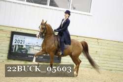 22BUCK_05603 proof