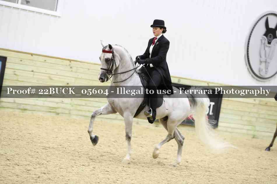 Proof 22BUCK_05604