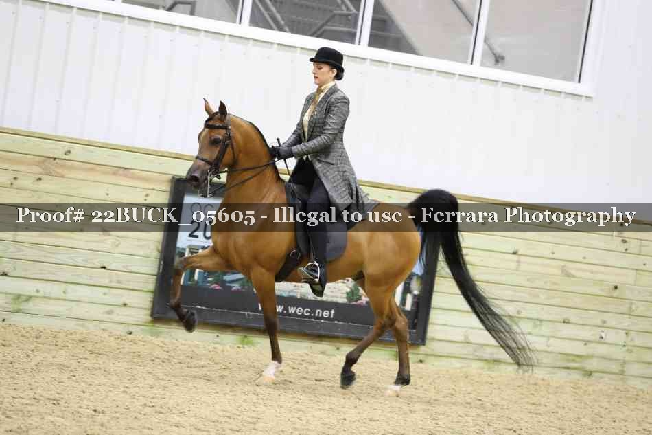 Proof 22BUCK_05605