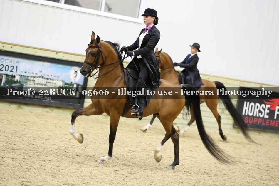 Proof 22BUCK_05606