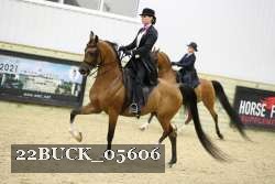 22BUCK_05606 proof