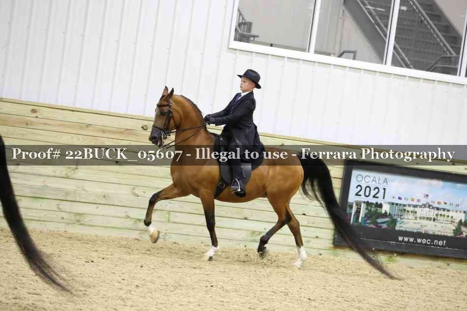 Proof 22BUCK_05607