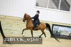 22BUCK_05607 proof