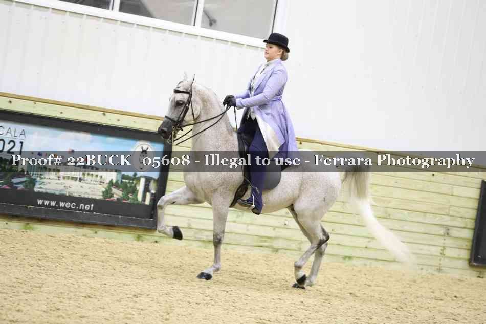Proof 22BUCK_05608