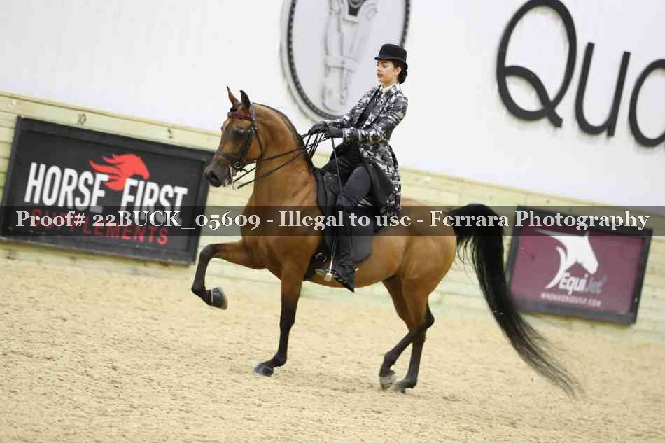 Proof 22BUCK_05609