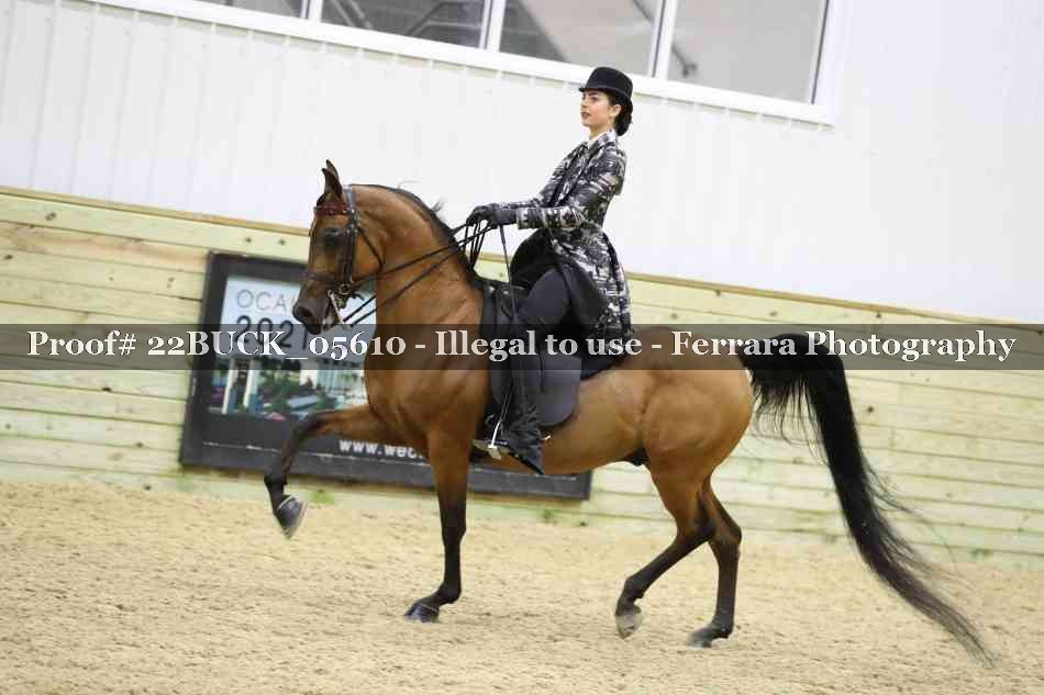 Proof 22BUCK_05610