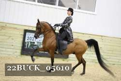 22BUCK_05610 proof