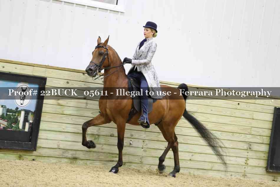 Proof 22BUCK_05611