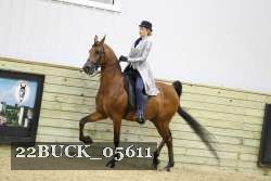 22BUCK_05611 proof