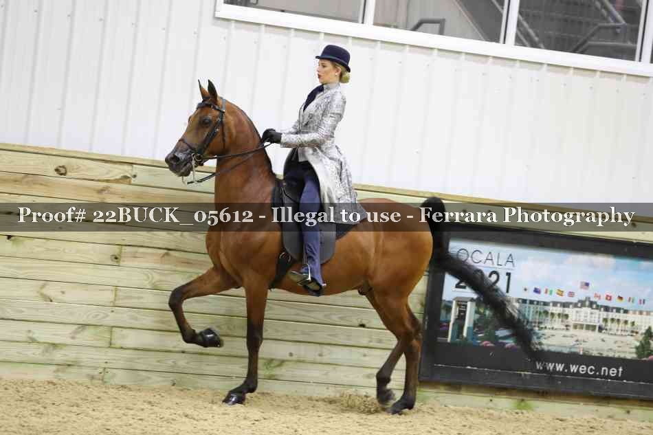 Proof 22BUCK_05612