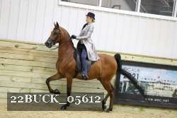 22BUCK_05612 proof