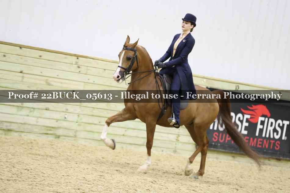 Proof 22BUCK_05613